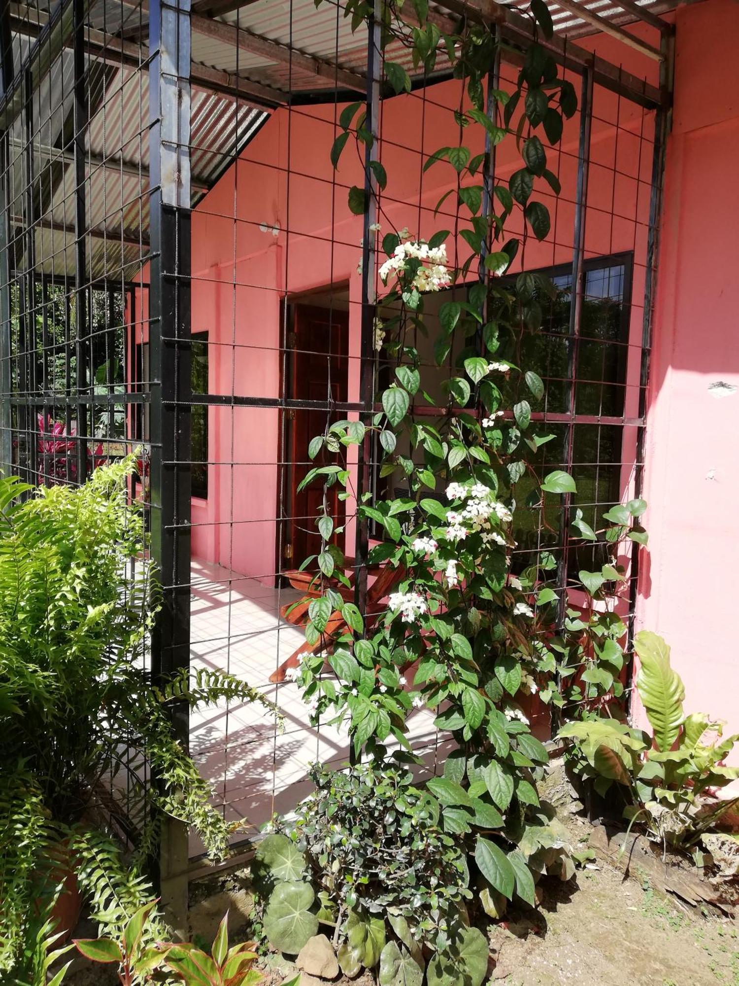 Paraiso Verde Siqurres Da Alegria Εξωτερικό φωτογραφία